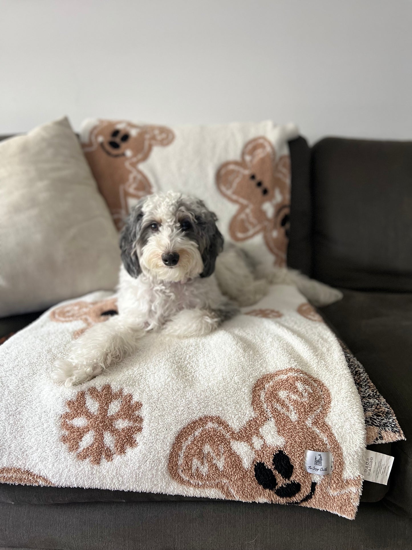 Pre-sale only Arrives November. Gingerbread Mickey Blanket 50” x60” (Large)- do not combine with ready to ship items.
