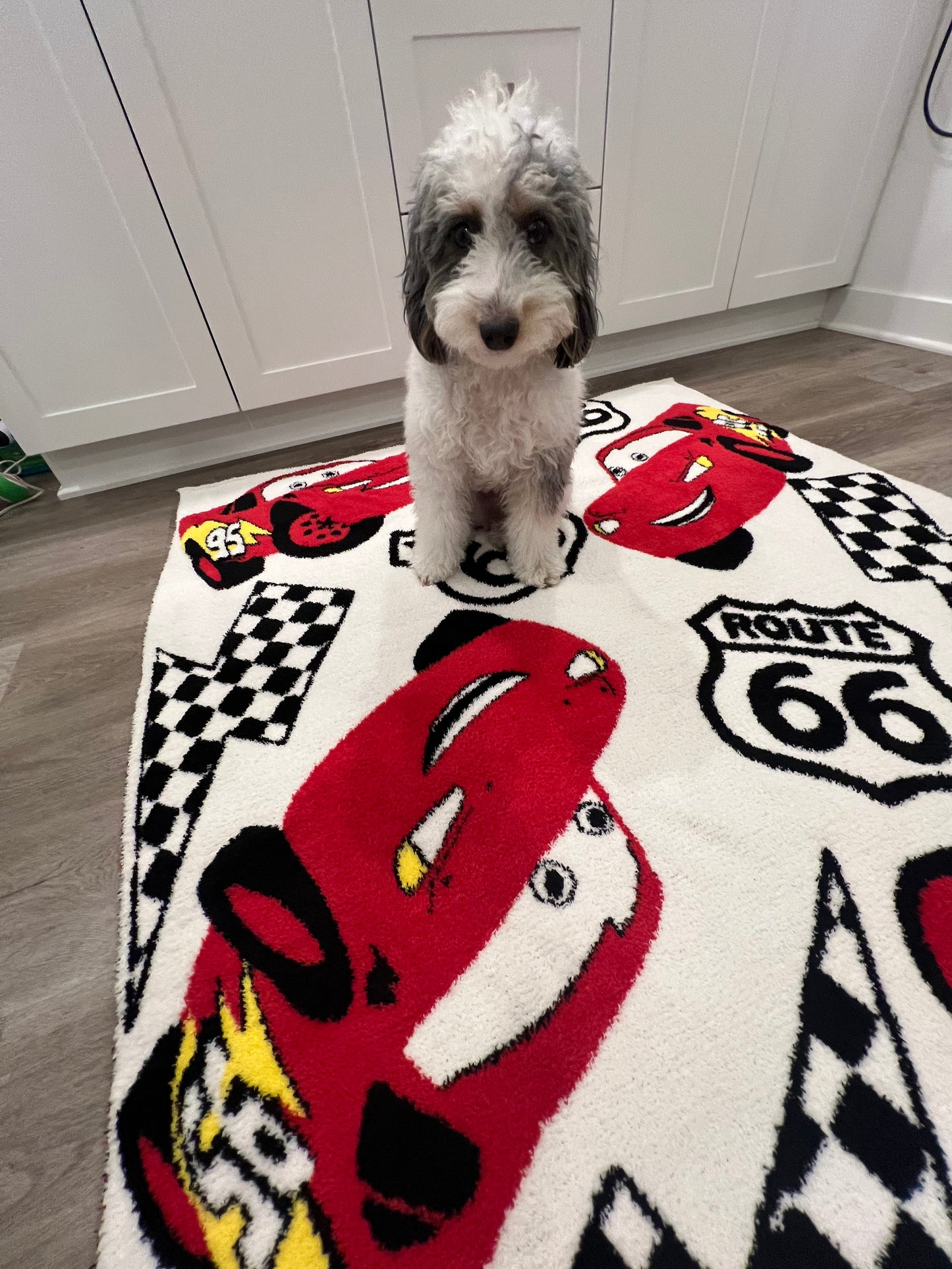 95 Lightning Checkers