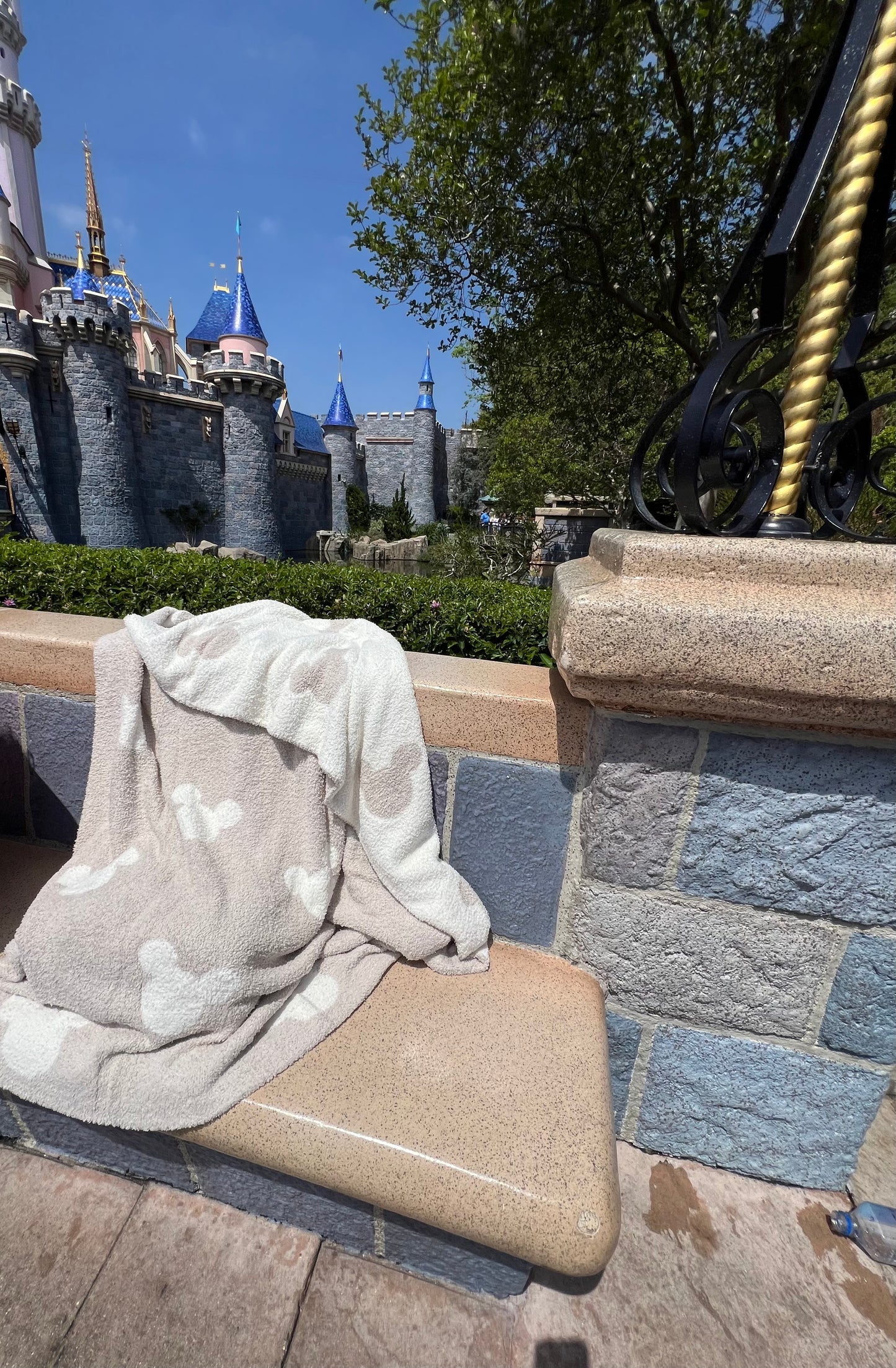 Ready to ship Neutral Double-sided Mickey Blanket