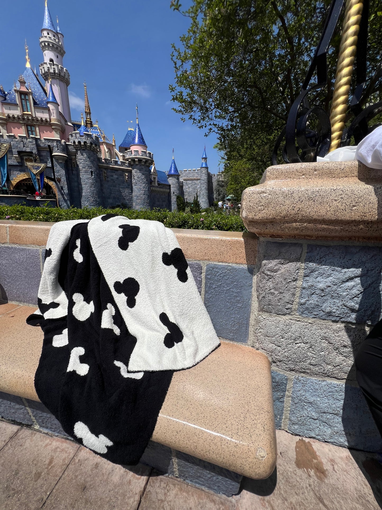 Mickey Black Double sided Throw