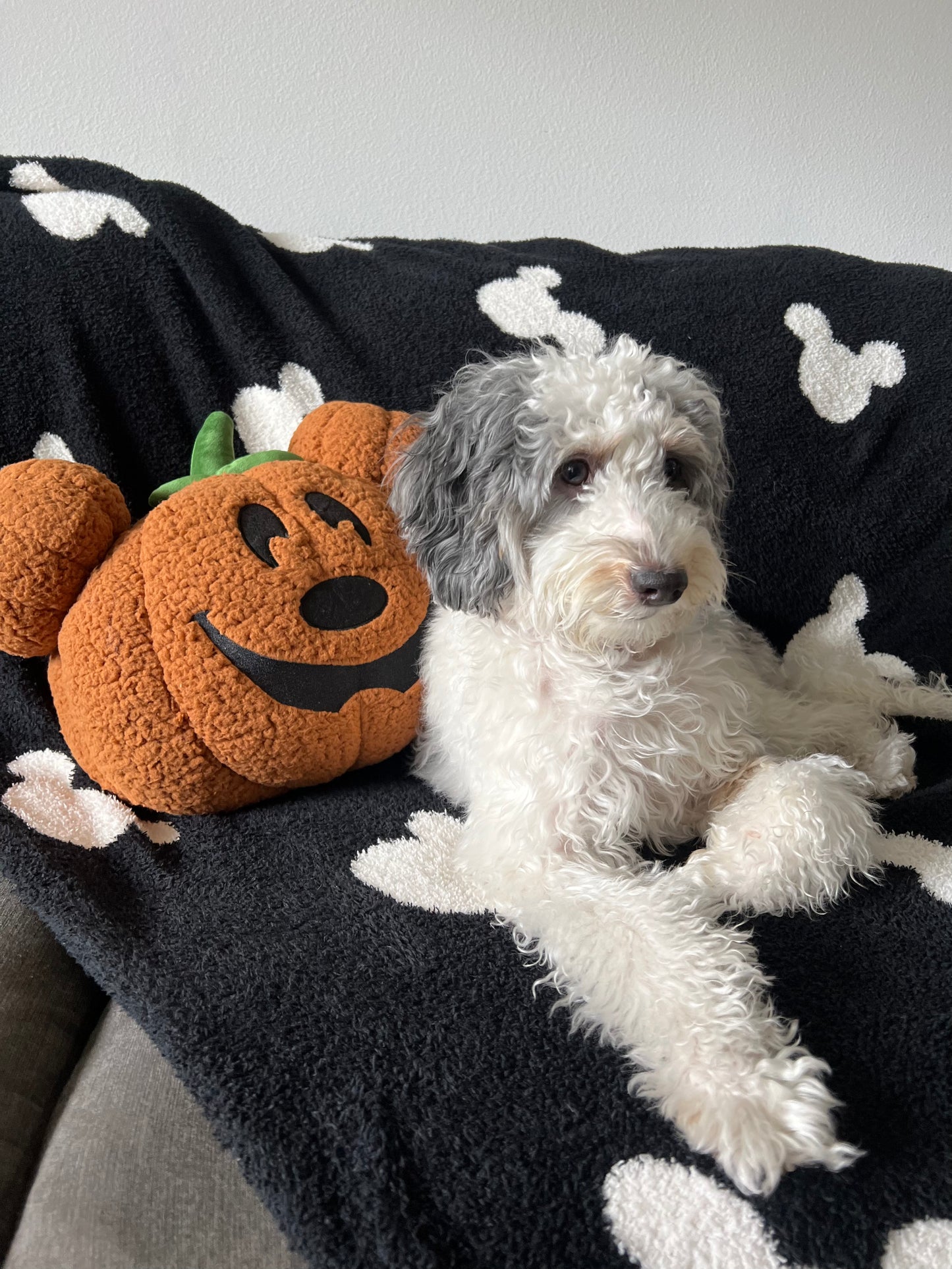 Mickey Pumpkin Pillow