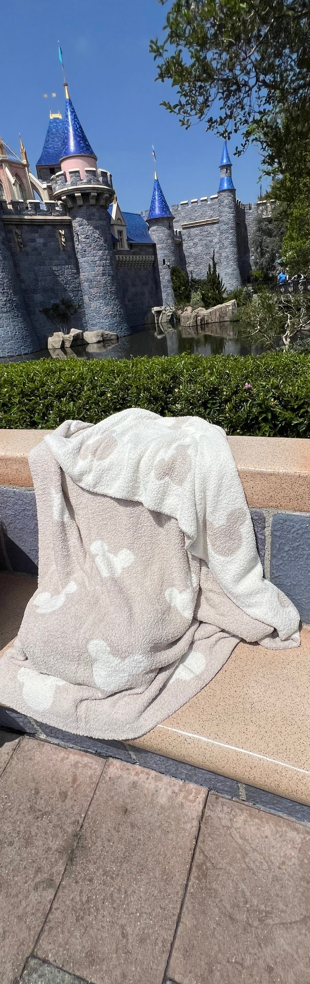 Neutral Double-sided Mickey Blanket